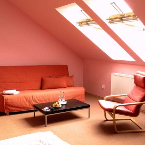 Pokoj se sprchou  pro 2 os. (s možností přistýlky)