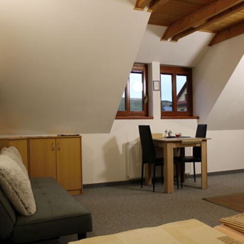 Mansard Double Room with Shower