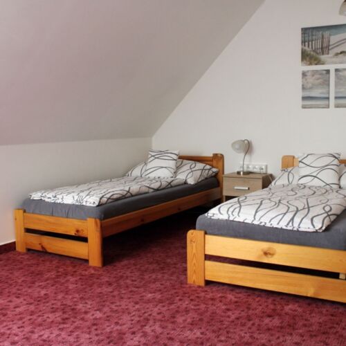 1-Room Apartment for 4 Persons with Shower and Kitchenette (extra bed available)