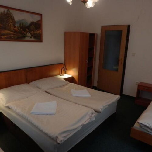 Camera tripla cu duș (se poate solicita pat suplimentar)