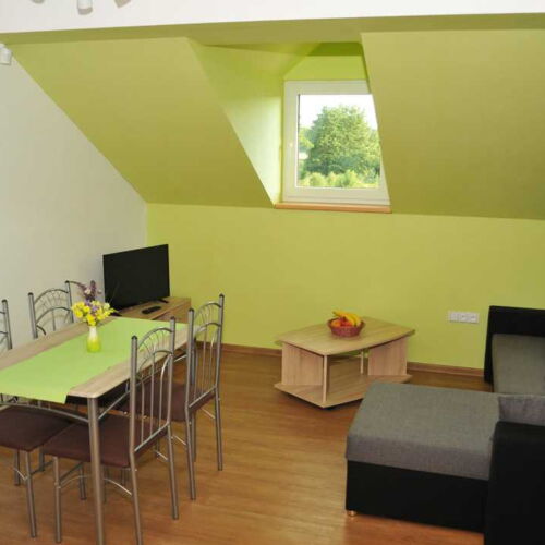 Apartament cu duș cu chicinetă proprie pentru 4 pers. (se poate solicita pat suplimentar)