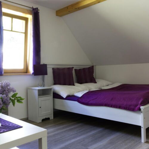 Pokoj se sprchou se společnou kuchyňkou pro 8 os. (s možností přistýlky)