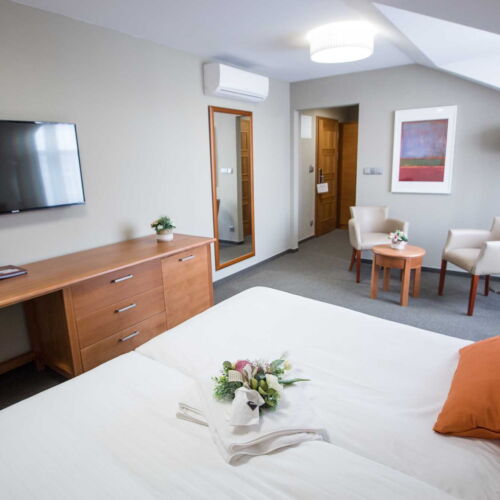 Standard Pokoj se sprchou s manželskou postelí (s možností přistýlky)