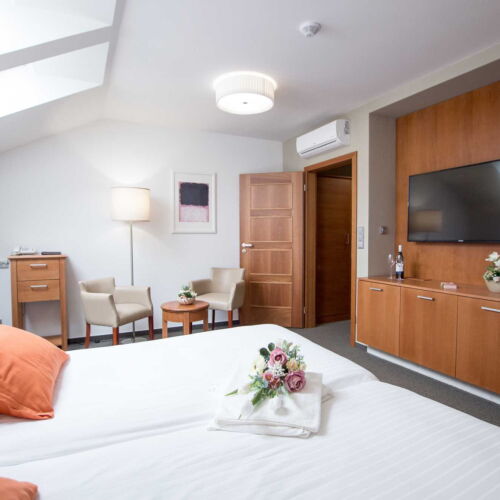 Pokoj s klimatizací s vanou s manželskou postelí (s možností přistýlky)