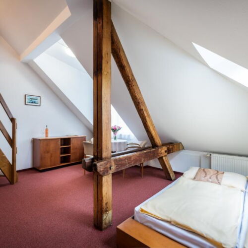 Standard Pokoj se sprchou pro 3 os.