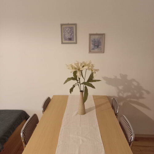 Pokoj se sprchou s terasou pro 5 os. (s možností přistýlky)