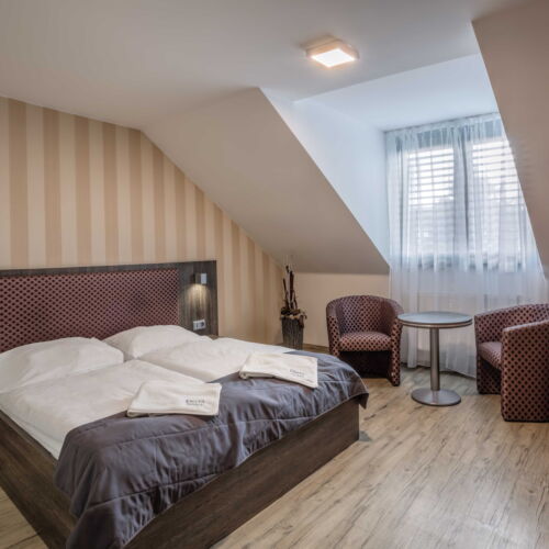 Pokoj se sprchou  pro 2 os.