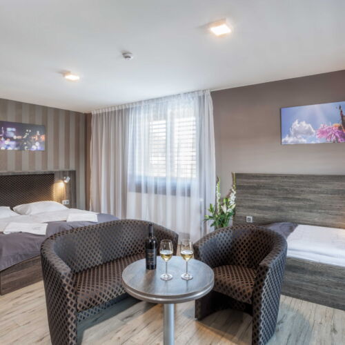 Pokoj se sprchou  pro 3 os.