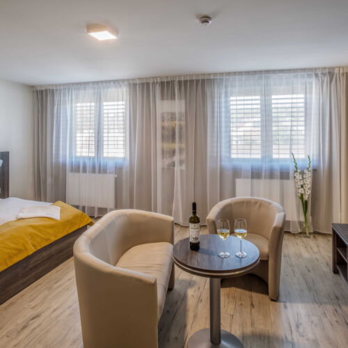 Pokoj se sprchou s klimatizací pro 2 os.