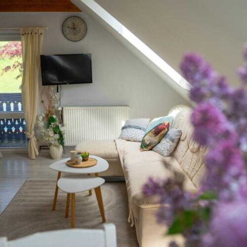 Apartman se sprchou s vlastní kuchyňkou pro 2 os. (s možností přistýlky)