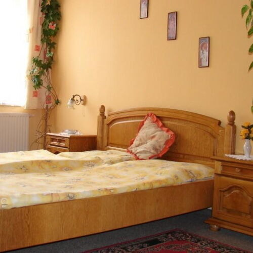 Camera dubla cu duș (se poate solicita pat suplimentar)