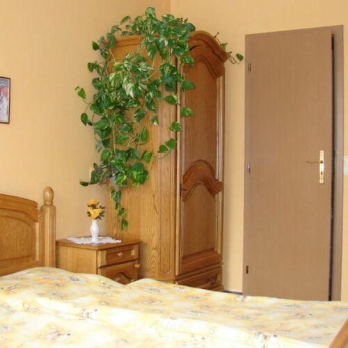 Camera tripla cu aer condiționat cu duș (se poate solicita pat suplimentar)