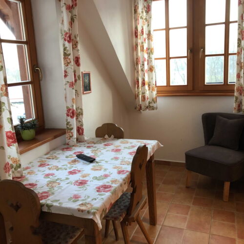 Apartament cu duș cu chicinetă proprie cu 1 camera pentru 2 pers.