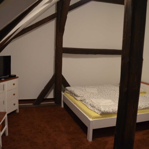 Pokoj se sprchou  pro 2 os.