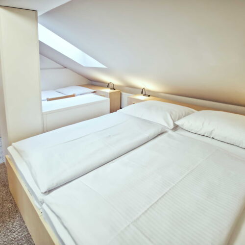 Camera tripla cu duș cu aer condiționat