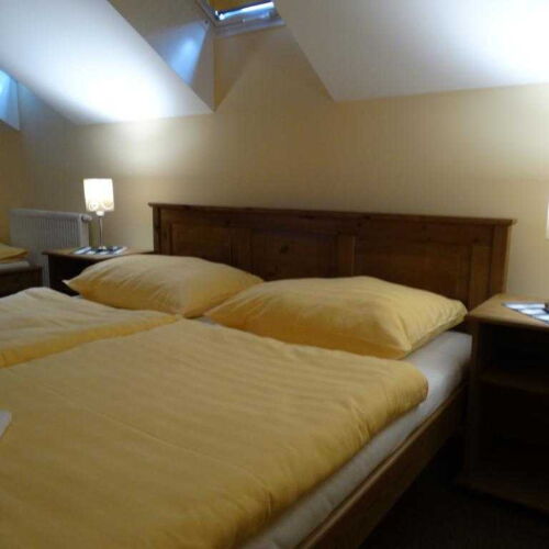 Classic Pokoj se sprchou s manželskou postelí (s možností přistýlky)