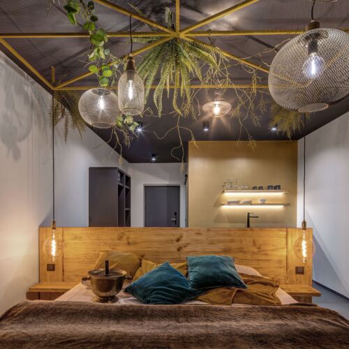 Apartament 2-osobowy z tarasem z widokiem na park z 1 pomieszczeniem sypialnianym