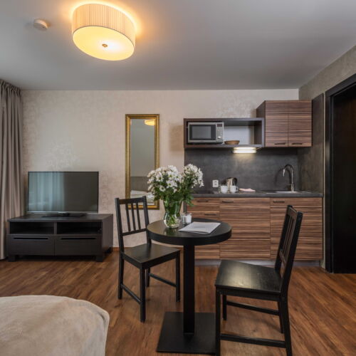 Camera twin cu duș cu chicinetă proprie