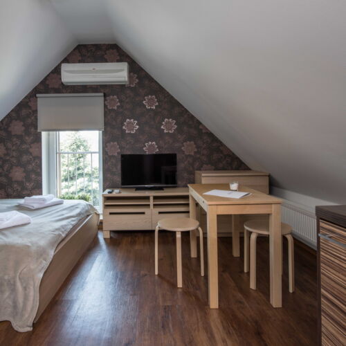 Camera twin cu duș cu chicinetă proprie