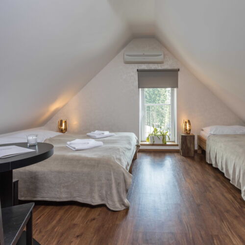 Camera tripla cu duș cu chicinetă proprie