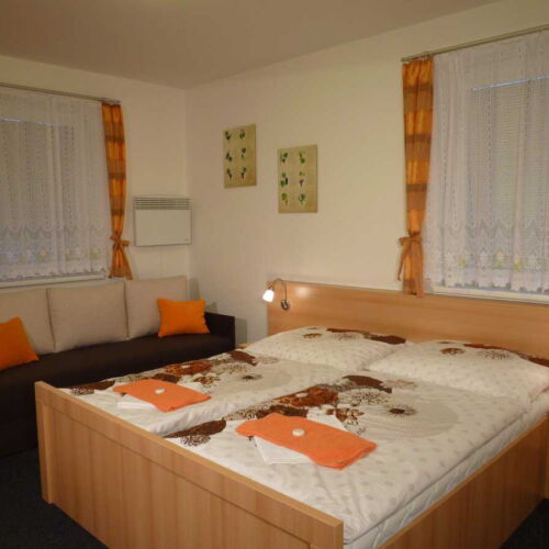 Camera dubla cu duș cu chicinetă proprie (se poate solicita pat suplimentar)