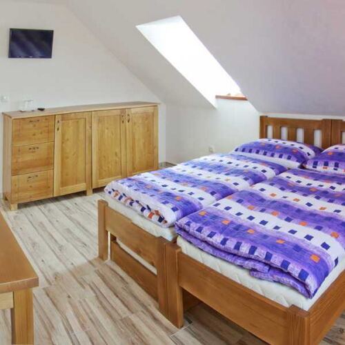 Camera cvadrupla cu duș cu chicinetă comună