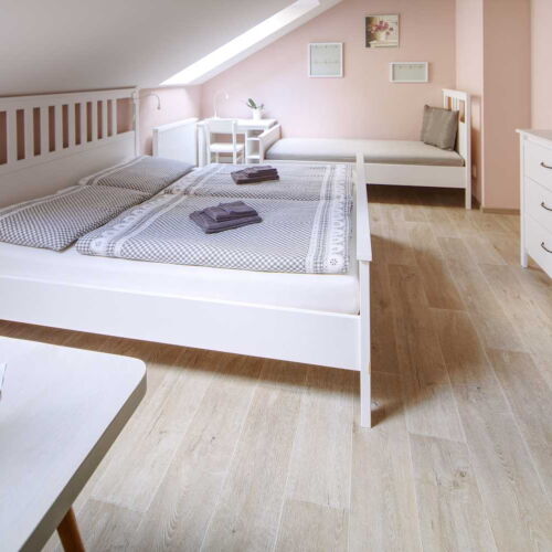 Pokoj se sprchou pro 3 os. v podkroví