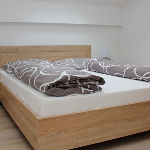 Apartament cu duș pentru 2 pers. (se poate solicita pat suplimentar)