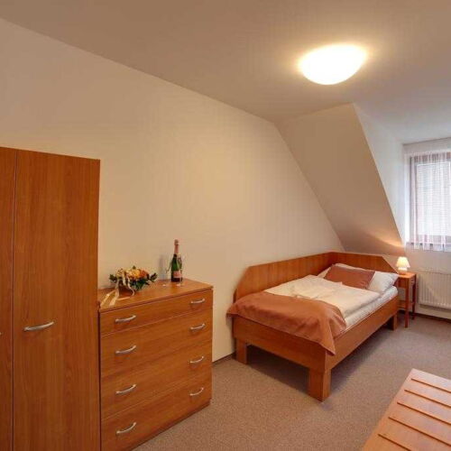 Camera single cu duș cu aer condiționat