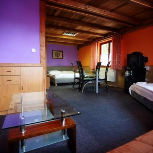 Pokoj se sprchou  pro 4 os.