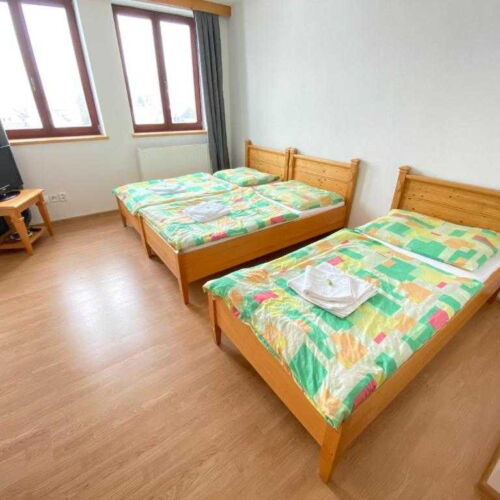 Pokoj se sprchou  pro 3 os.