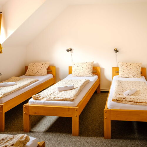 1-Room Apartment for 4 Persons with Shower and Kitchenette (extra beds available)