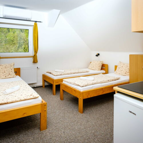 Triple Room with Shower and Kitchenette
