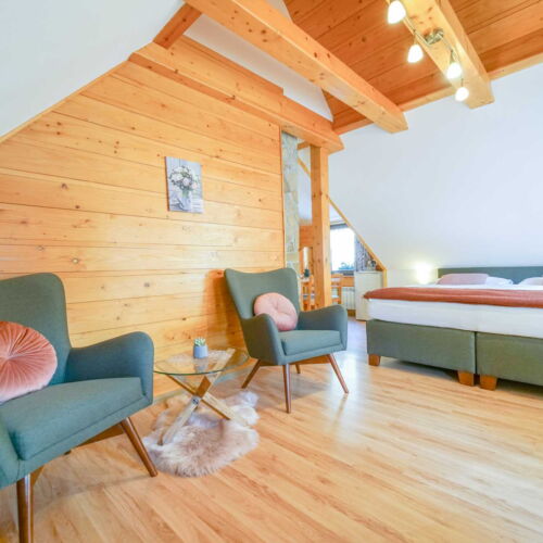 Pokój 2-osobowy Junior z prysznicem