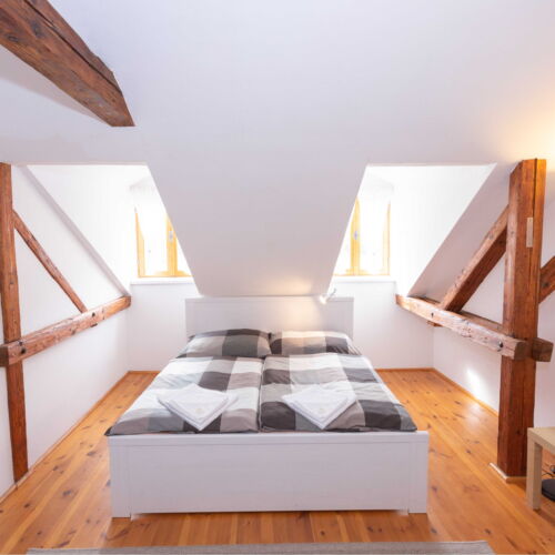 Pokoj se sprchou se společnou kuchyňkou s manželskou postelí