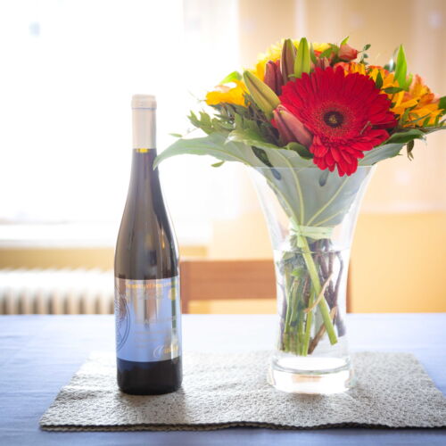 Apartman se sprchou s vlastní kuchyňkou s manželskou postelí s 1 ložnicí (s možností přistýlky)