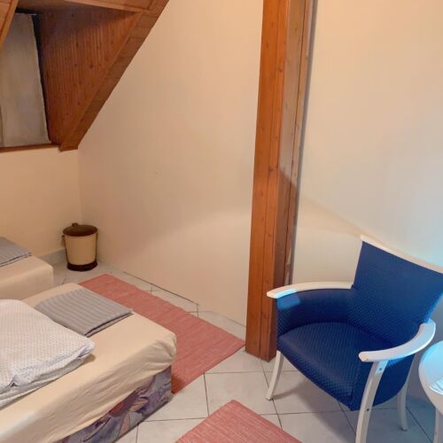 Pokój 2-osobowy Tourist z widokiem na las