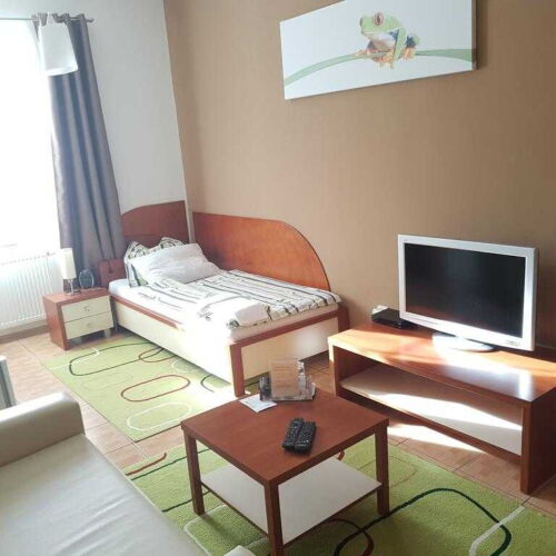 Camera single cu baie cu duș