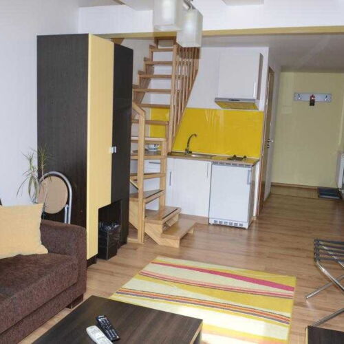 Apartament cu 1 camera pentru 2 pers. (se poate solicita pat suplimentar)
