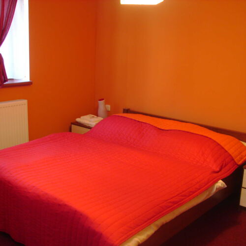 Pokój 2-osobowy z prysznicem ze wspólnym aneksem kuchennym (możliwa dostawka)