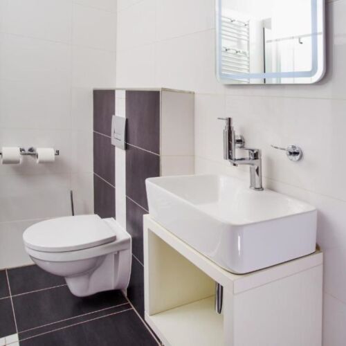 Apartman se sprchou s vlastní kuchyňkou pro 4 os. s 1 ložnicí