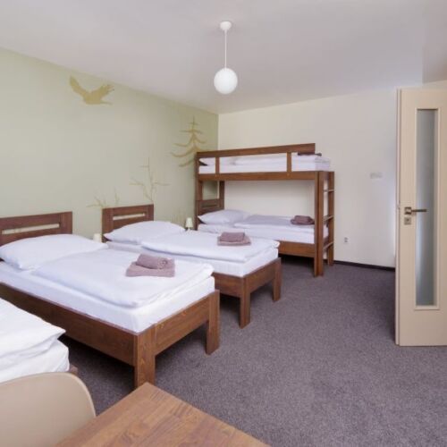 Apartman se sprchou s vlastní kuchyňkou pro 5 os. s 1 ložnicí