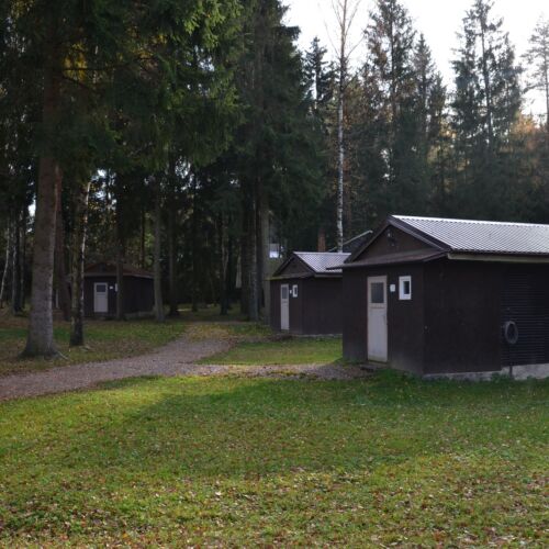 Camera cvadrupla standard întreaga unitate (se poate solicita pat suplimentar)