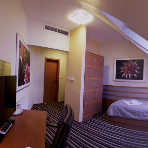 Camera single cu duș cu aer condiționat