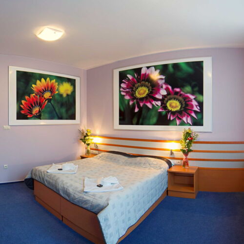 Camera twin cu duș cu aer condiționat (se poate solicita pat suplimentar)