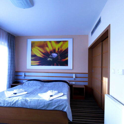 Apartament cu aer condiționat pentru 2 pers. (se poate solicita pat suplimentar)