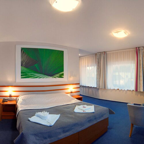 Camera twin superior cu duș