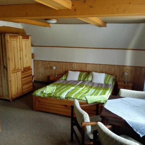 Pokoj se sprchou  pro 3 os.