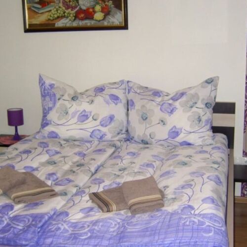 Izba so sprchou  s manželskou posteľou (s možnosťou prístelky)