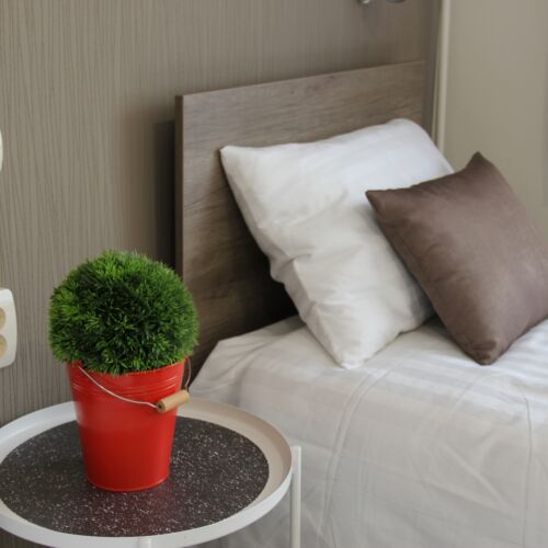 Deluxe soba sa 1 kreveta(om) (za 1 osoba(e))